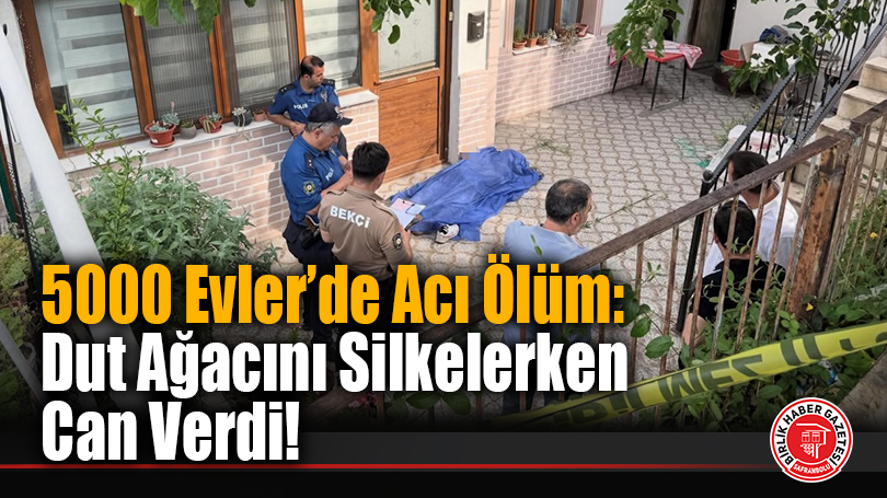 5000 Evler’de Acı Ölüm: Dut Ağacını Silkelerken Can Verdi!
