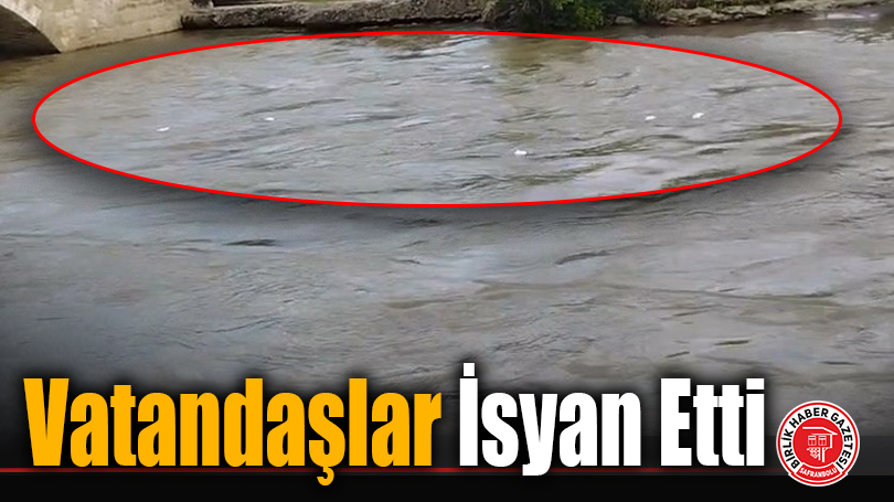 Vatandaşlar İsyan Etti