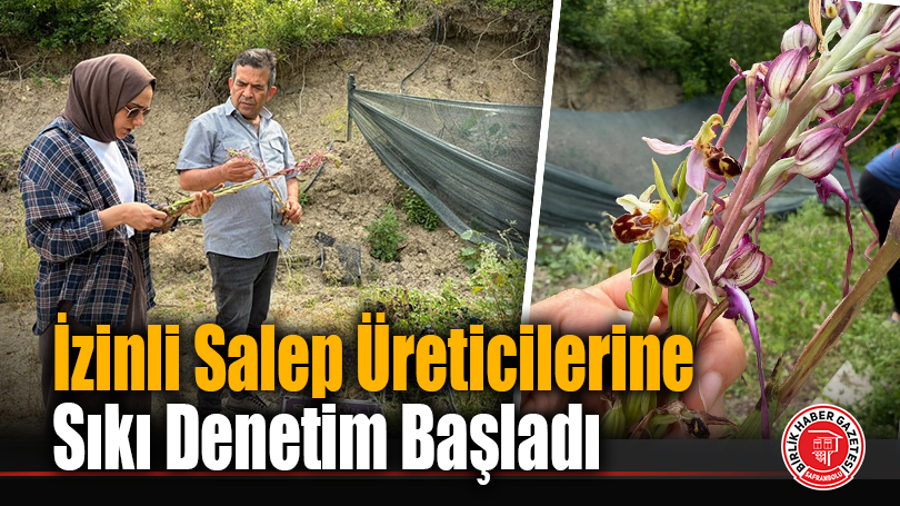 İzinli Salep Üreticilerine Sıkı Denetim Başladı