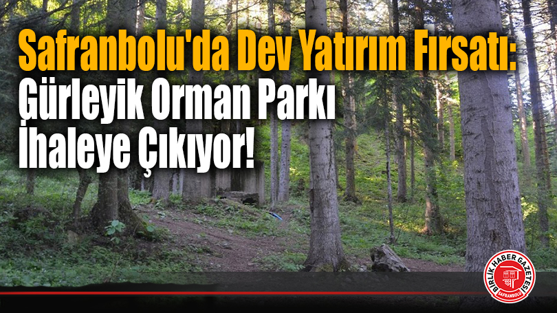 Safranbolu’da Dev Yatırım Fırsatı: Gürleyik Orman Parkı İhaleye Çıkıyor!