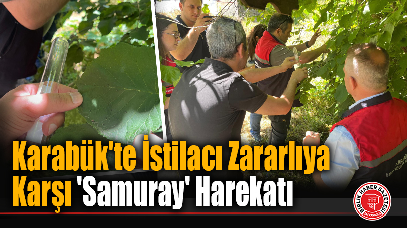 Karabük’te İstilacı Zararlıya Karşı ‘Samuray’ Harekatı