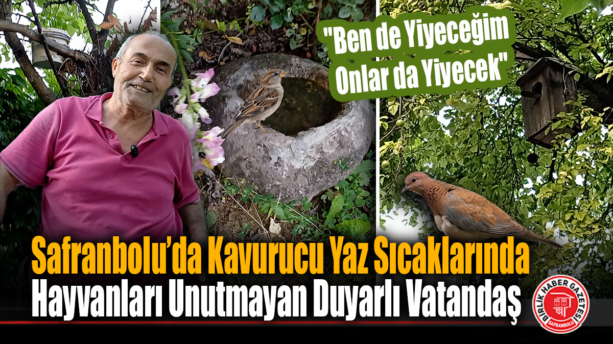 Safranbolu’da Kavurucu Yaz Sıcaklarında Hayvanları Unutmayan Duyarlı Vatandaş