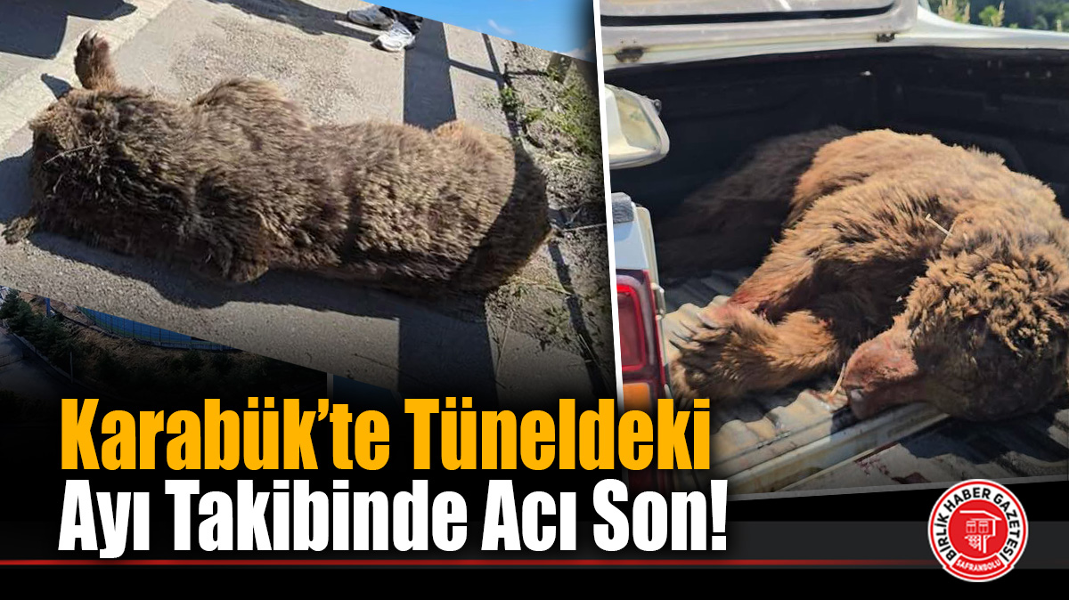 Karabük’te Tünelde Ekipleri Peşinden Koşturan Ayıdan Acı Haber! Kan Kaybından Telef Oldu