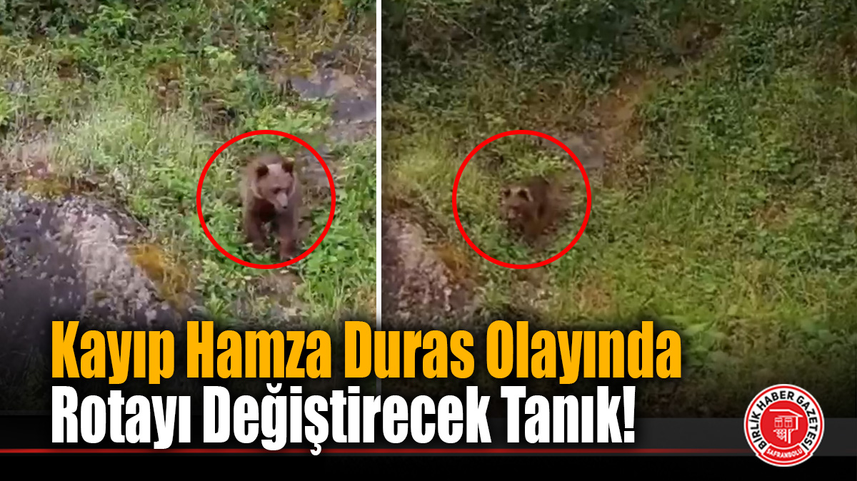 Yenice’de Ayı Paniği Kameralara Yansıdı!