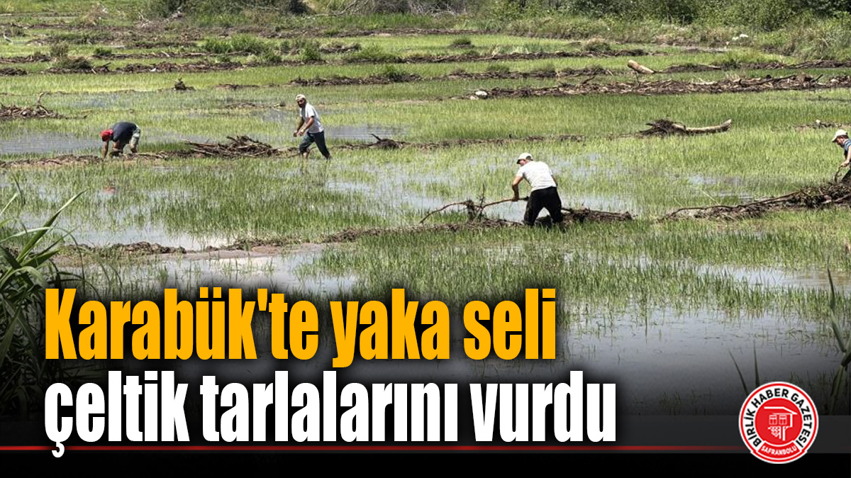 Karabük’te yaka seli çeltik tarlalarını vurdu