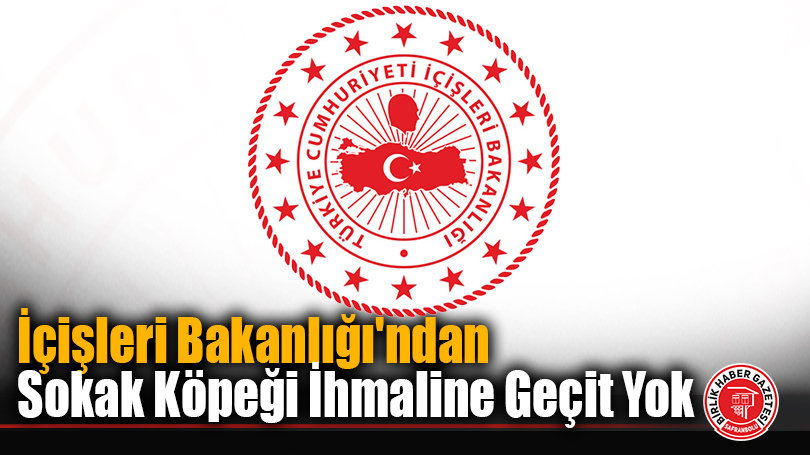 İçişleri Bakanlığı’ndan Sokak Köpeği İhmaline Geçit Yok: 3 Belediye Başkanına Soruşturma!