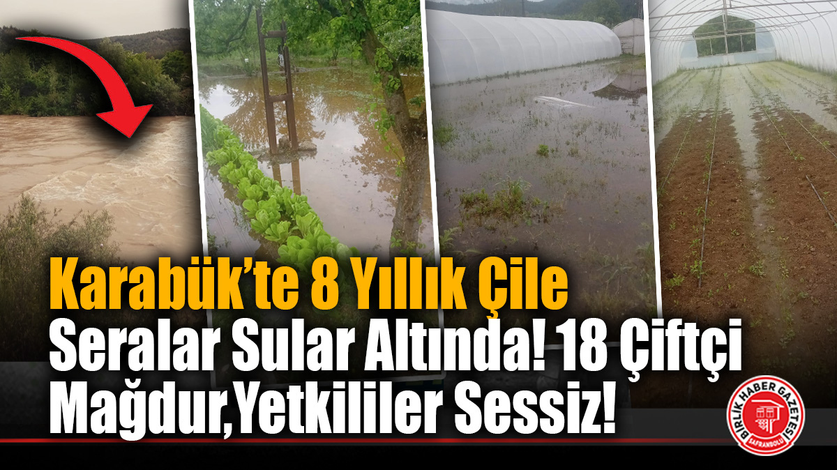 Karabük Kılavuzlar Mahallesi’nde Çiftçilerin 8 Yıllık Çilesi: Seralar Sular Altında! 18 Çiftçi Mağdur, Yetkililer Sessiz!