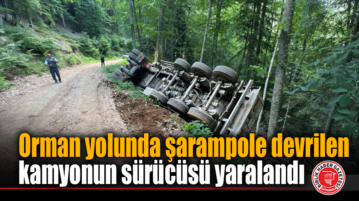 Orman yolunda şarampole devrilen kamyonun sürücüsü yaralandı