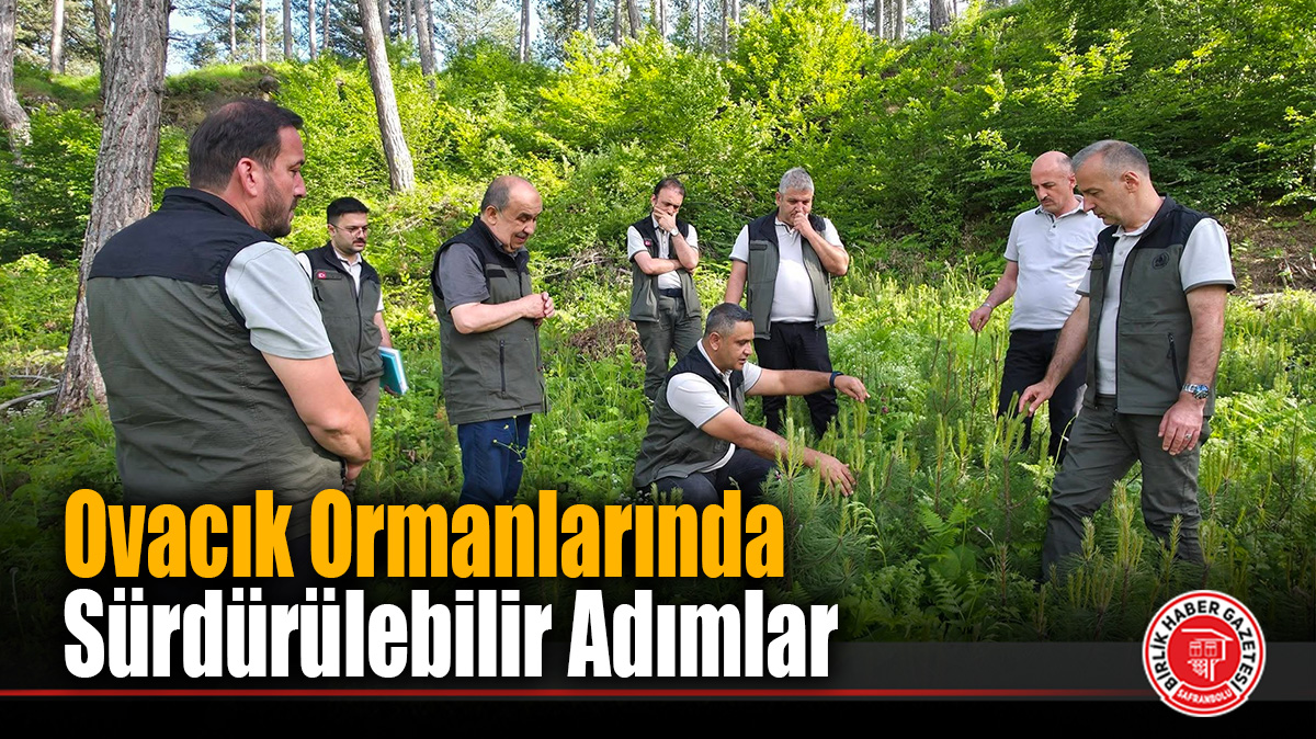 Ovacık Ormanlarında Sürdürülebilir Adımlar: Bölge Müdürü Halil Oflu Sahayı İnceledi!