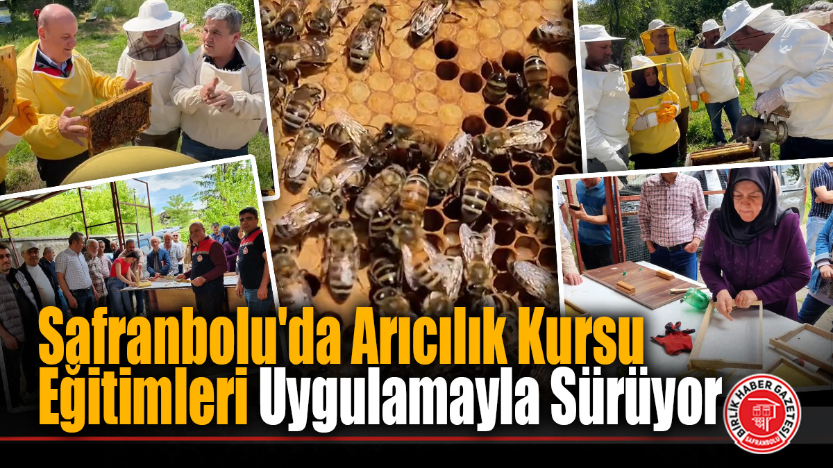 Safranbolu’da Arıcılık Kursu Eğitimleri Uygulamayla Sürüyor