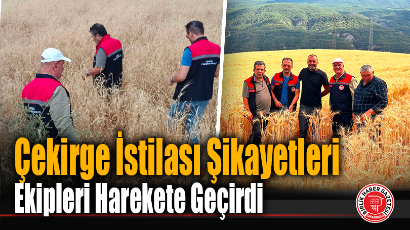 Çekirge İstilası Şikayetleri Ekipleri Harekete Geçirdi