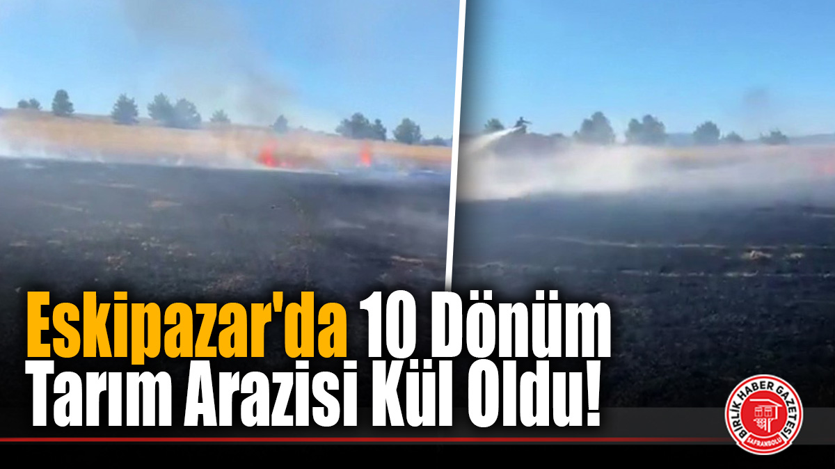Eskipazar’da 10 Dönüm Tarım Arazisi Kül Oldu!