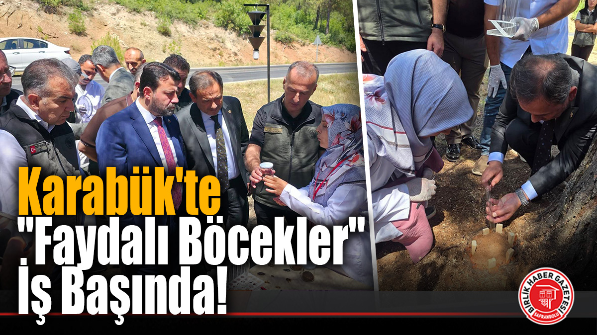 Karabük’te “Faydalı Böcekler” İş Başında!