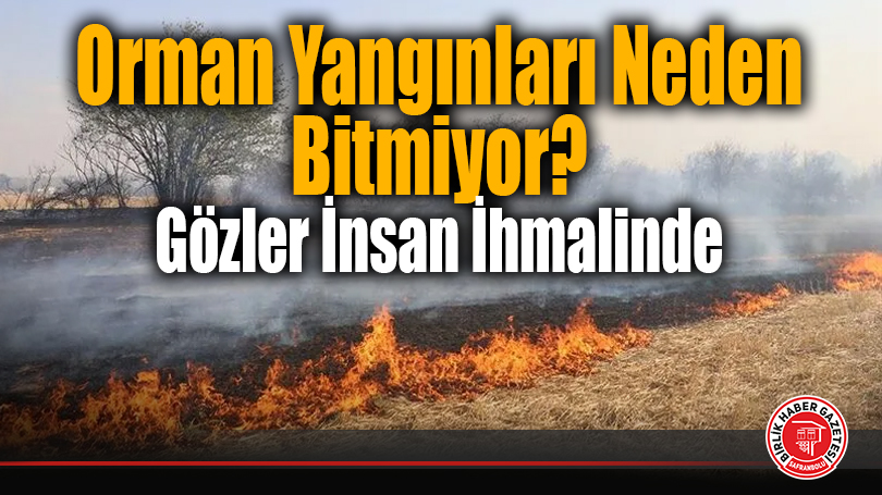 Orman Yangınları Neden Bitmiyor? Gözler İnsan İhmalinde