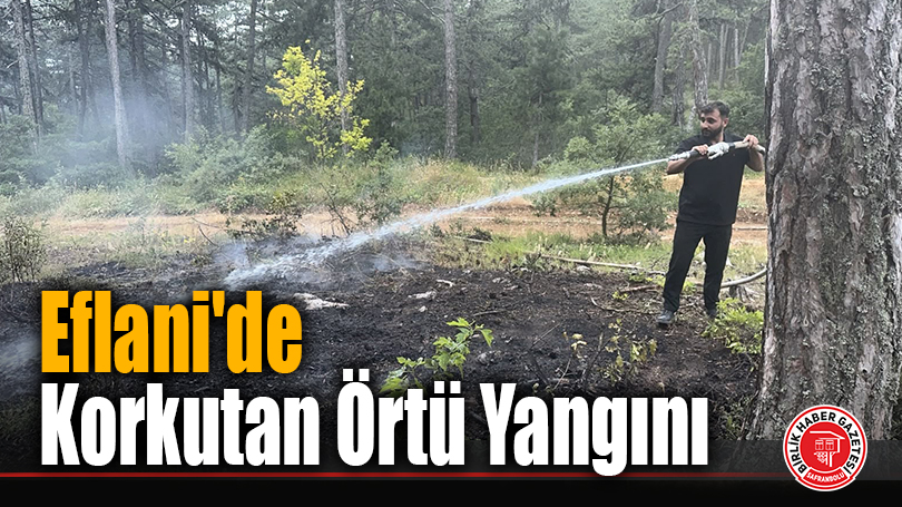 Eflani’de Korkutan Örtü Yangını