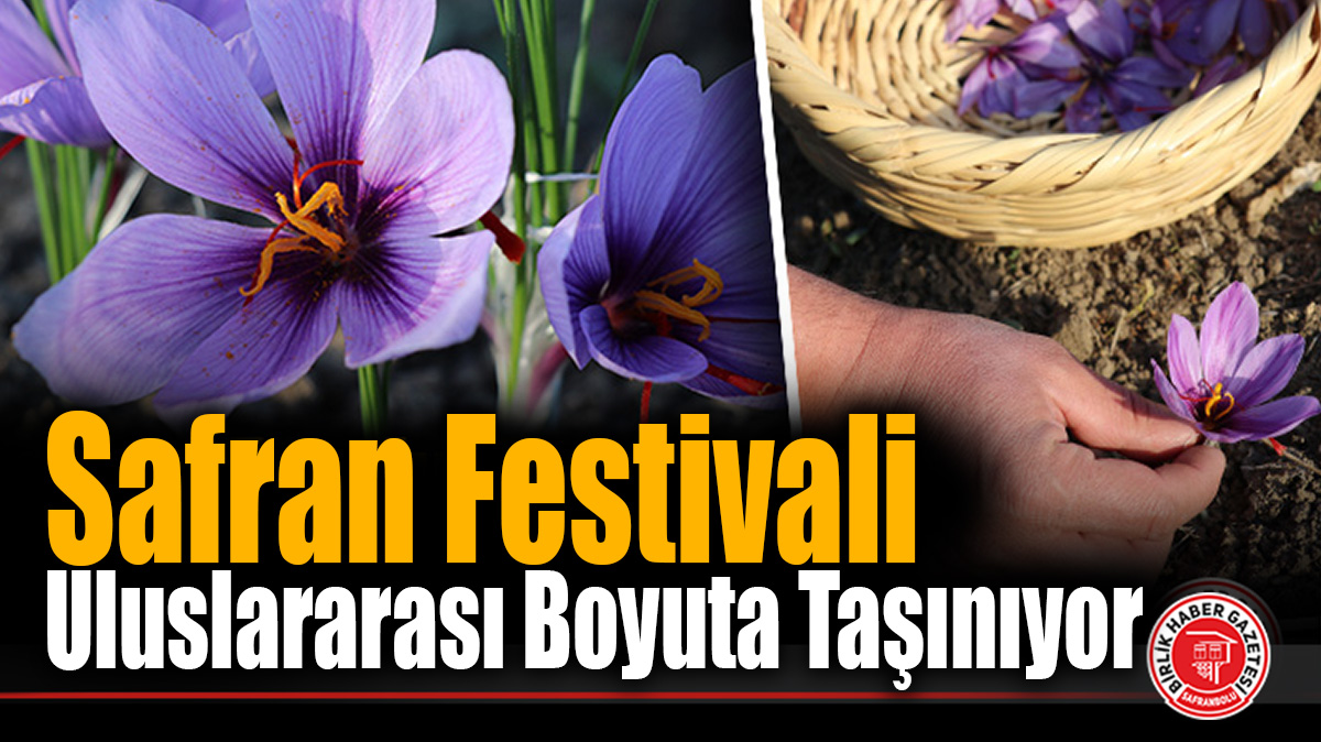 Safran Festivali Uluslararası Boyuta Taşınıyor
