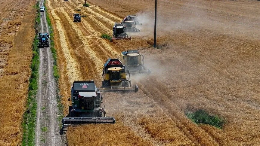 TİGEM’in Karacabey tesisleri yerli tohumluk buğdayda bölge ihtiyacını karşılıyor