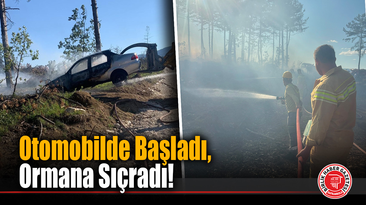 Otomobilde Başladı, Ormana Sıçradı!