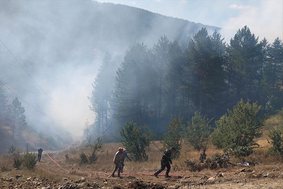 Kastamonu’da çıkan orman yangını kontrol altına alındı