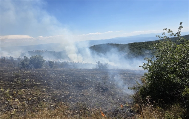 Kastamonu’da çıkan orman yangını kontrol altına alındı