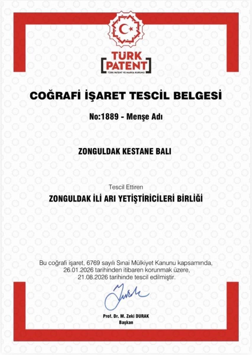 Zonguldak kestane balı coğrafi işaret tescili aldı