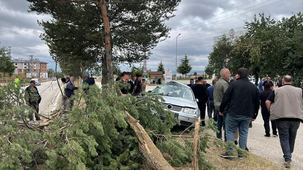 Kastamonu’da orta refüjdeki ağaca çarpan otomobildeki 3 kişi yaralandı
