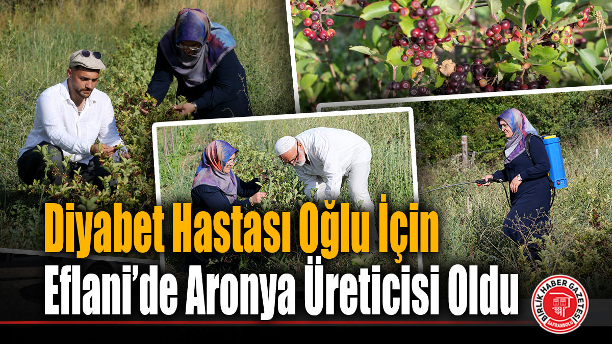 Eflani’de Diyabet Hastası Oğlu İçin Aronya Üreticisi Oldu