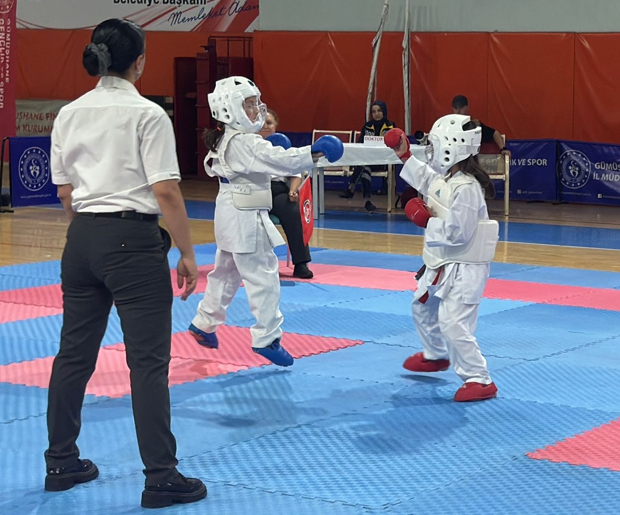 Gümüşhane’de karate turnuvası düzenlendi