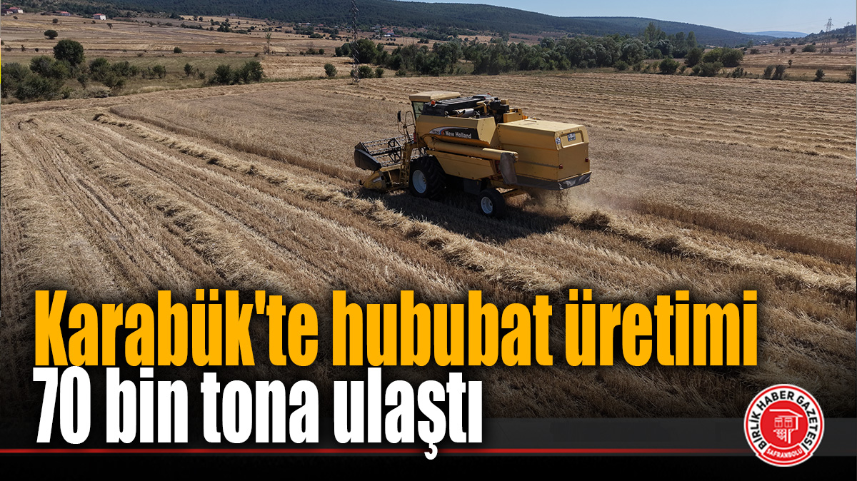 Karabük’te hububat üretimi 70 bin tona ulaştı