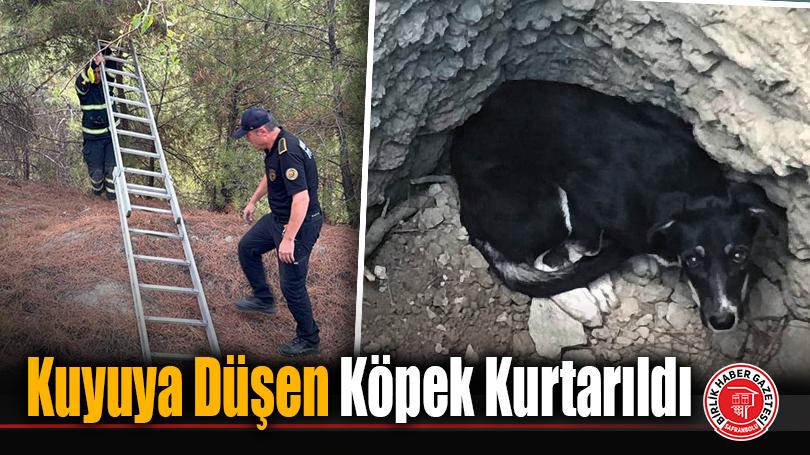 Kuyuya Düşen Köpek Kurtarıldı