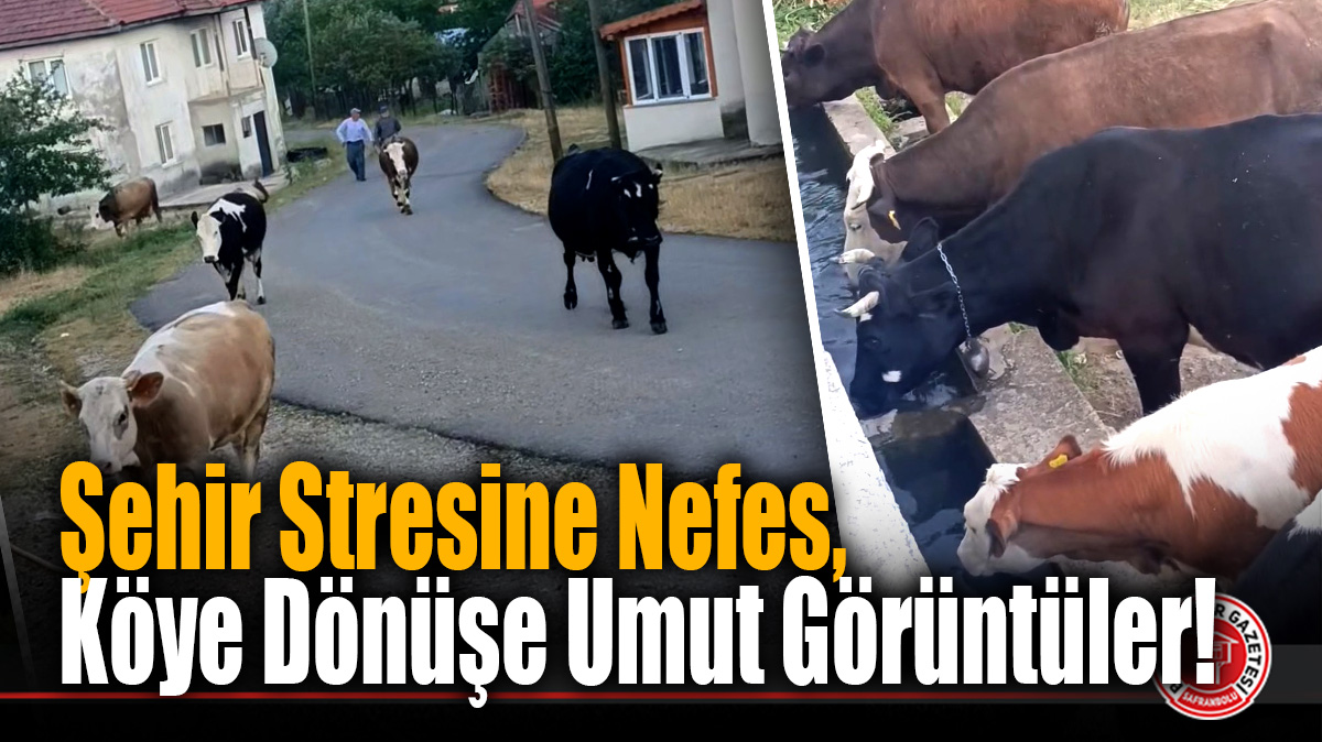 Şehir Stresine Nefes, Köye Dönüşe Umut Görüntüler!