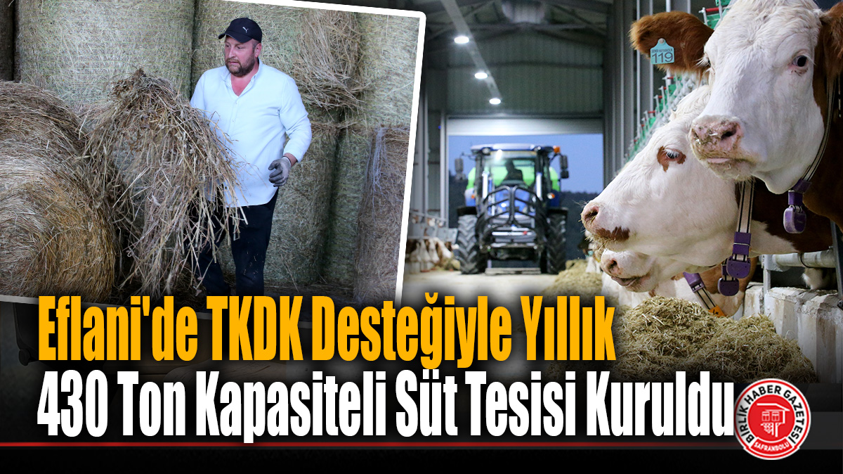 Eflani’de TKDK Desteğiyle Yıllık 430 Ton Kapasiteli Süt Tesisi Kuruldu