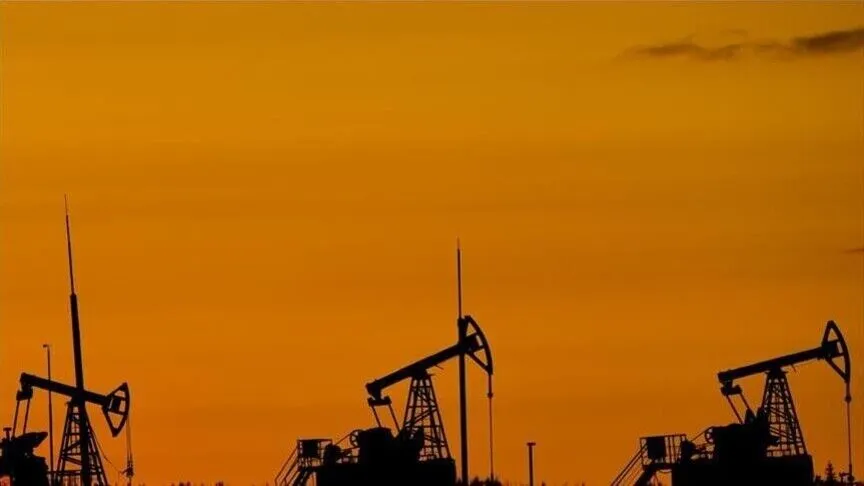 Yılın ilk yarısında 23,1 milyon varil petrol, 1,6 milyar metreküp doğal gaz üretildi