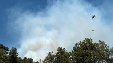 Aydın, İzmir ve Balıkesir’deki orman yangınlarına müdahale ediliyor