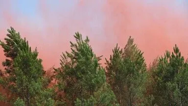 Fransa’nın Var vilayetinde yeniden başlayan yangında yaklaşık 2 bin hektar alan kül oldu