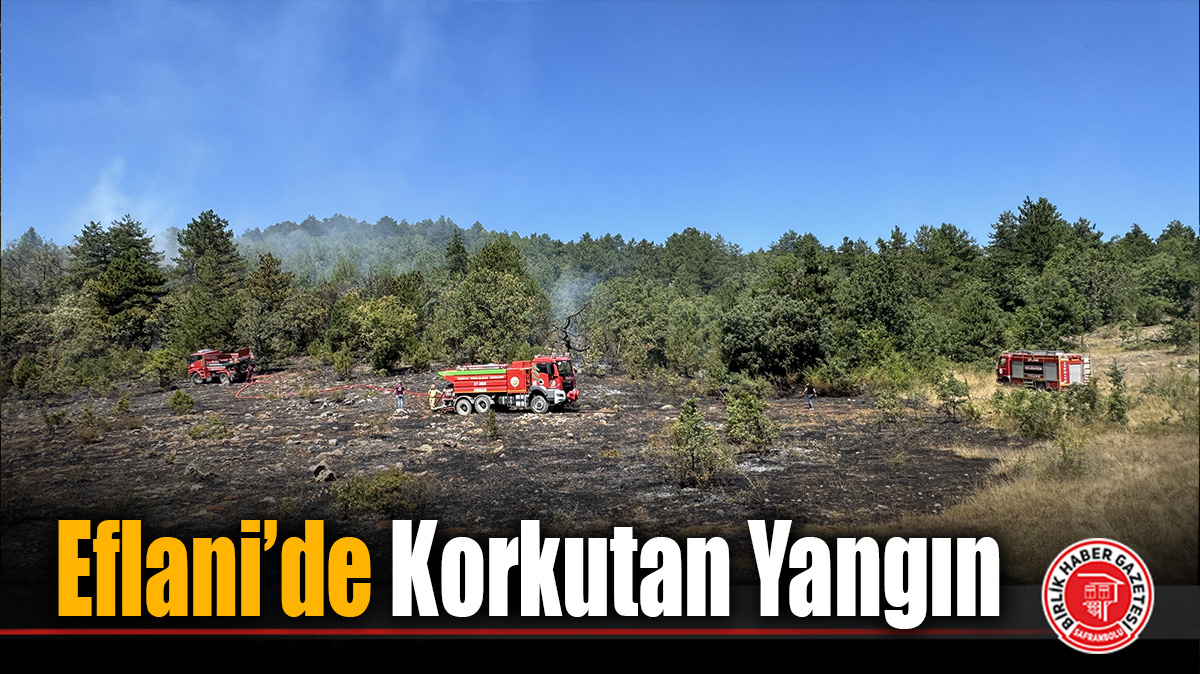 Eflani’de Korkutan Yangın
