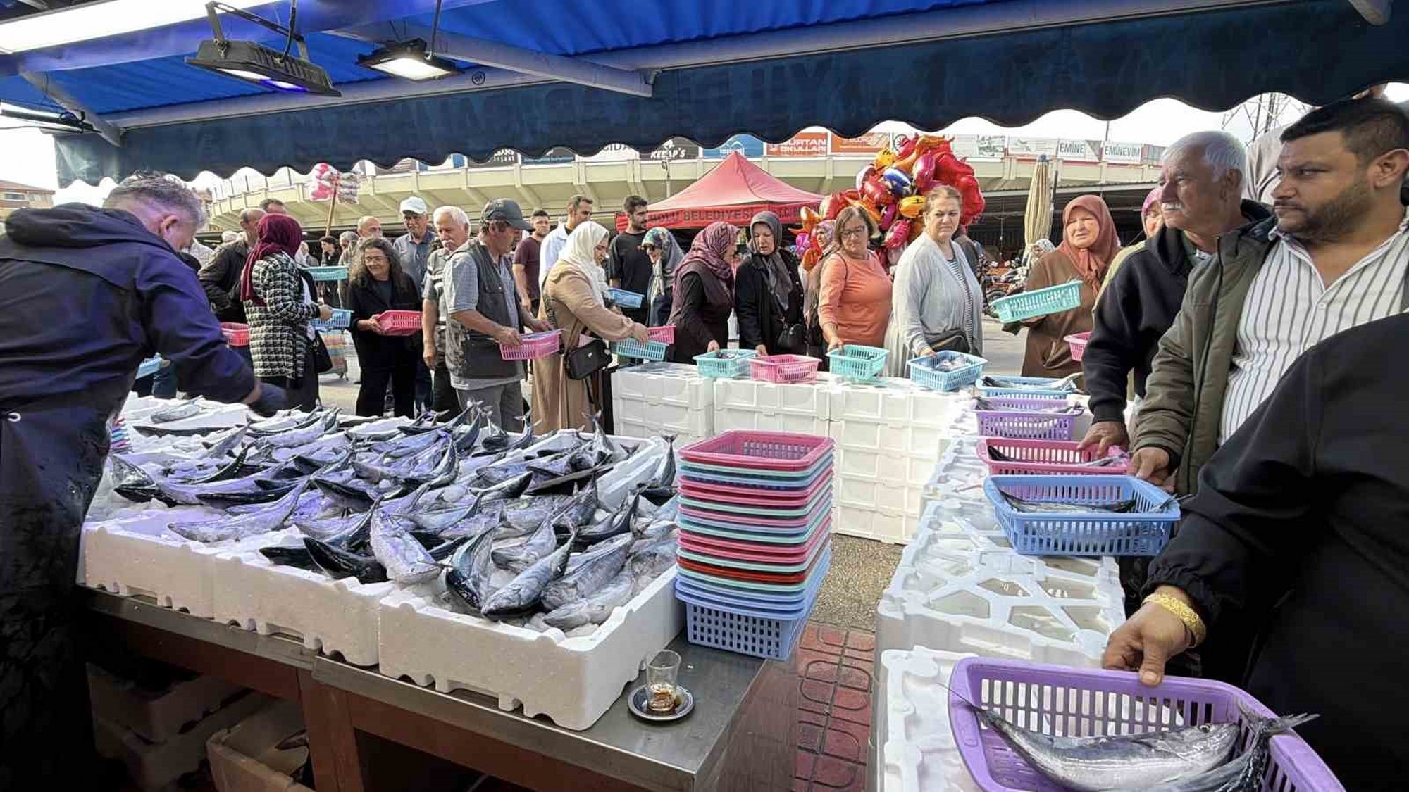 Bolu’da palamut ve hamsiye yoğun ilgi: Tezgahlarda metrelerce kuyruk oluştu