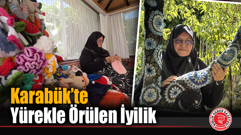 72 Yaşındaki Aliye Teyze Örgüleriyle Sokak Canlarına Hayat Oluyor!
