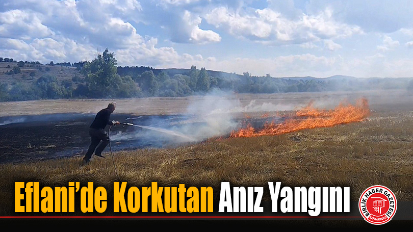 Eflani’de Korkutan Anız Yangını