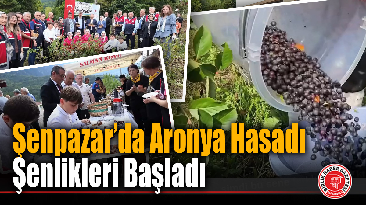 Şenpazar’da Aronya Hasadı Şenlikle Başladı: Bu Sezon 7 Ton Rekolte Bekleniyor