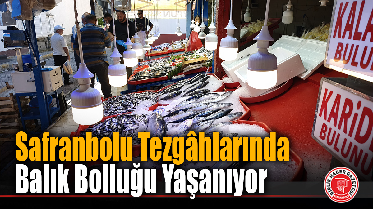 Safranbolu Tezgâhlarında Balık Bolluğu Yaşanıyor