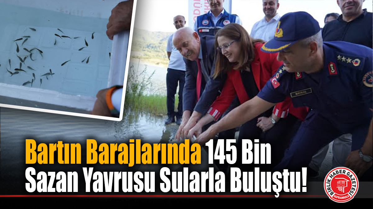 Bartın Barajlarında 145 Bin Sazan Yavrusu Sularla Buluştu!
