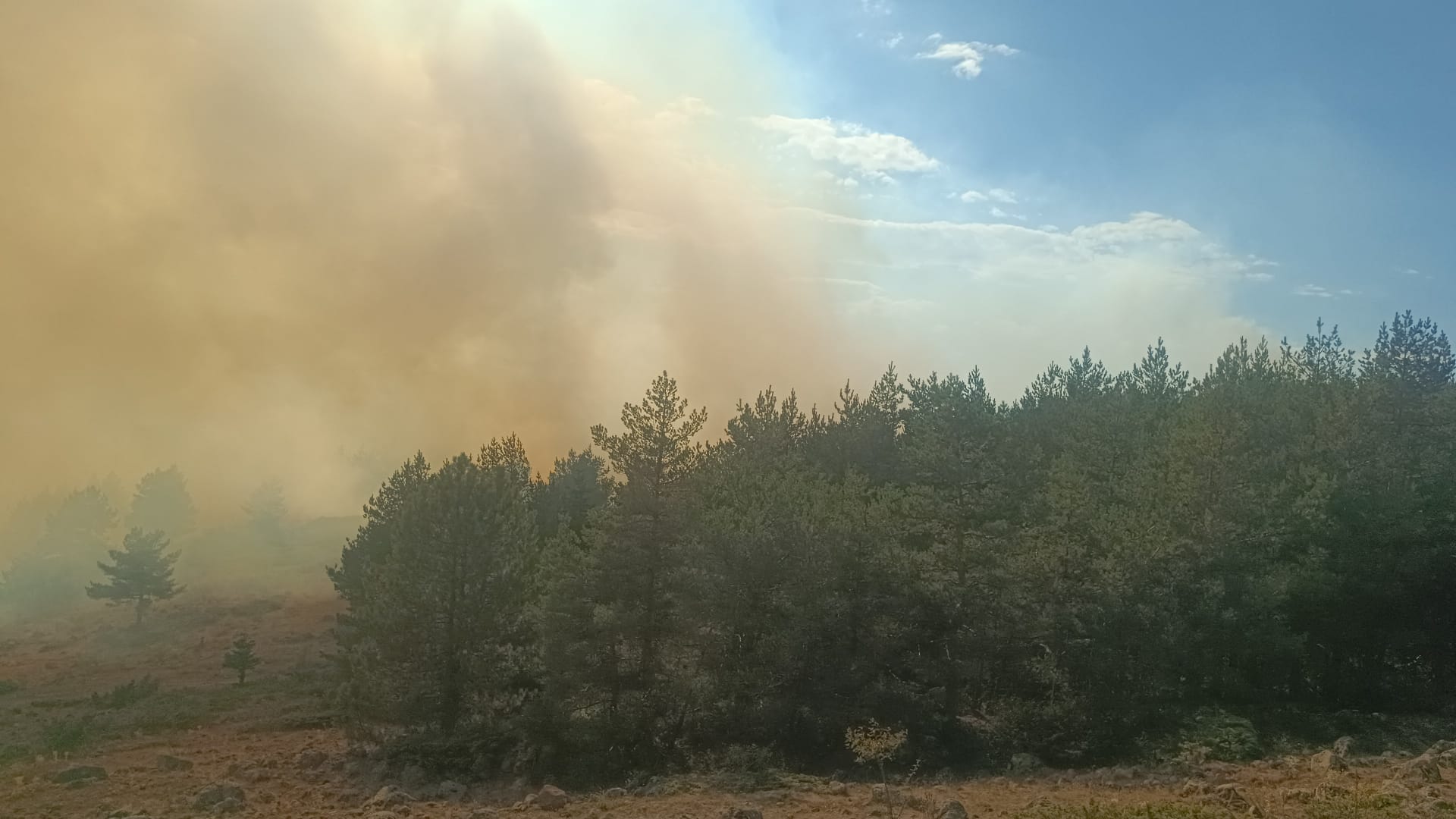 Bolu’da otluk alanda çıkıp ormana sıçrayan yangına müdahale ediliyor