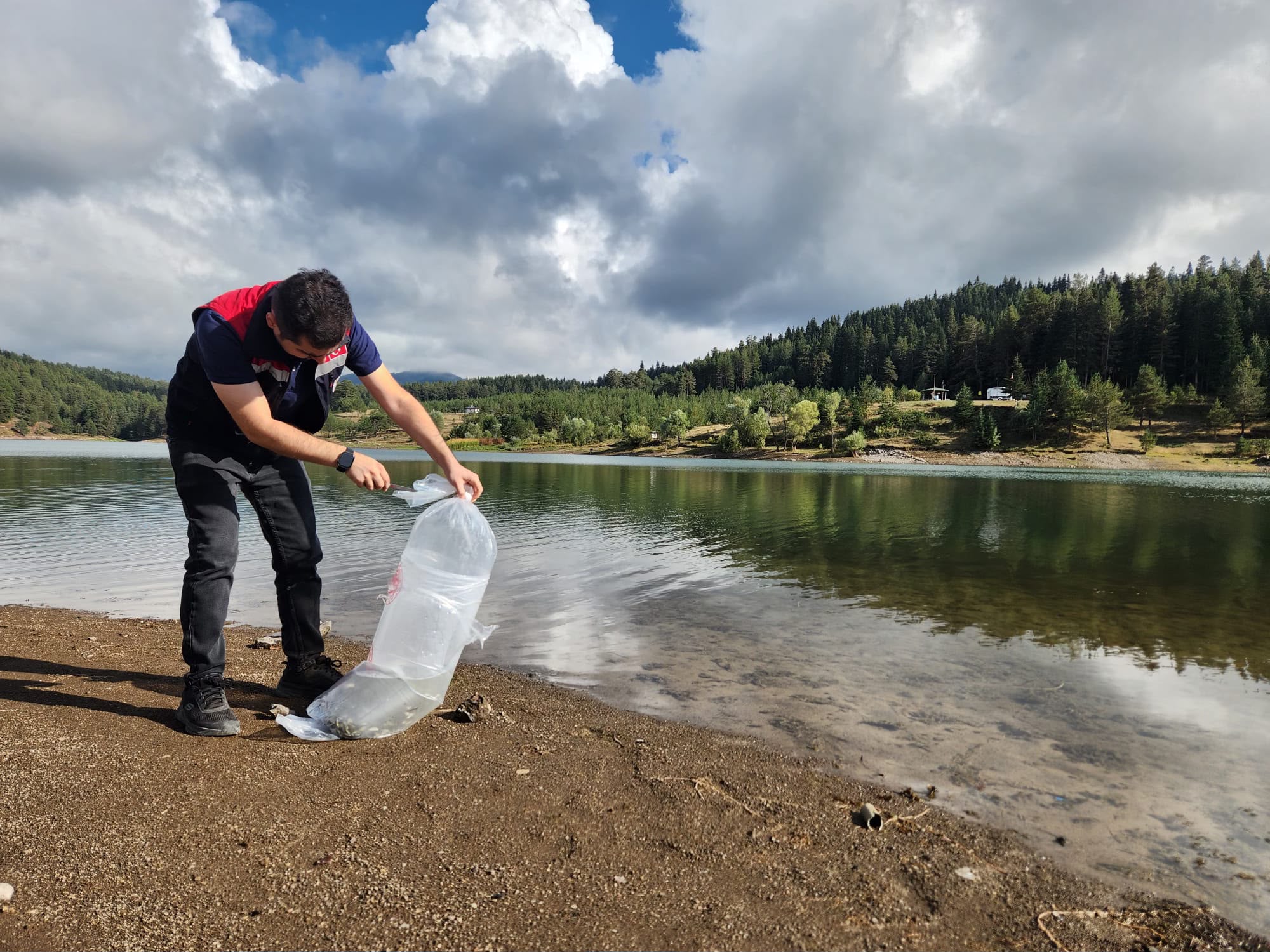 Kastamonu’da göletlere 800 bin sazan yavrusu bırakıldı
