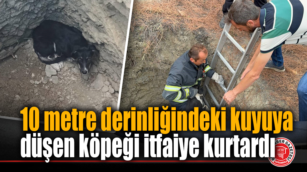 10 metre derinliğindeki kuyuya düşen köpeği itfaiye kurtardı
