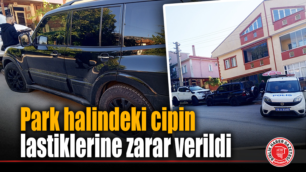 Park halindeki cipin lastiklerine zarar verildi