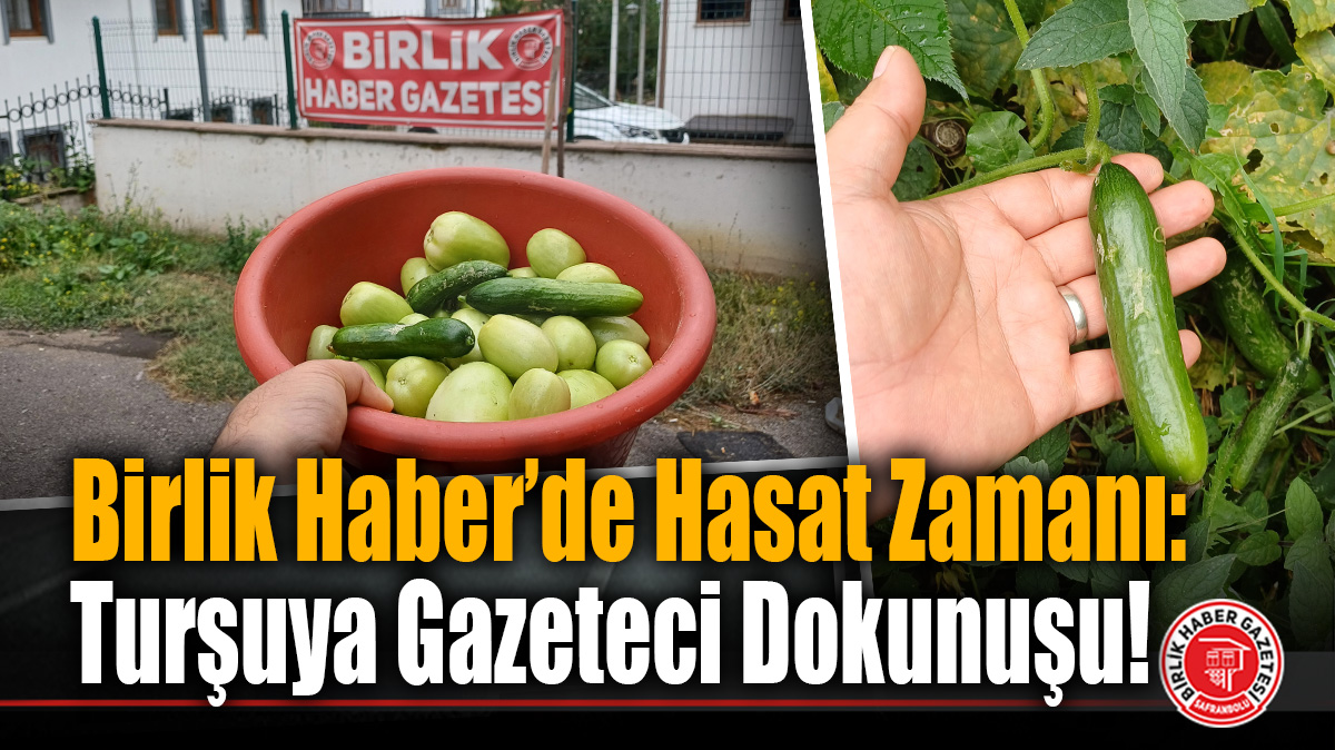 Safranbolu Birlik Haber’de Hasat Zamanı: Turşuya Gazeteci Dokunuşu!