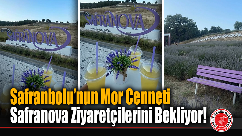 Safranbolu’nun Mor Cenneti Safranova Ziyaretçilerini Bekliyor!