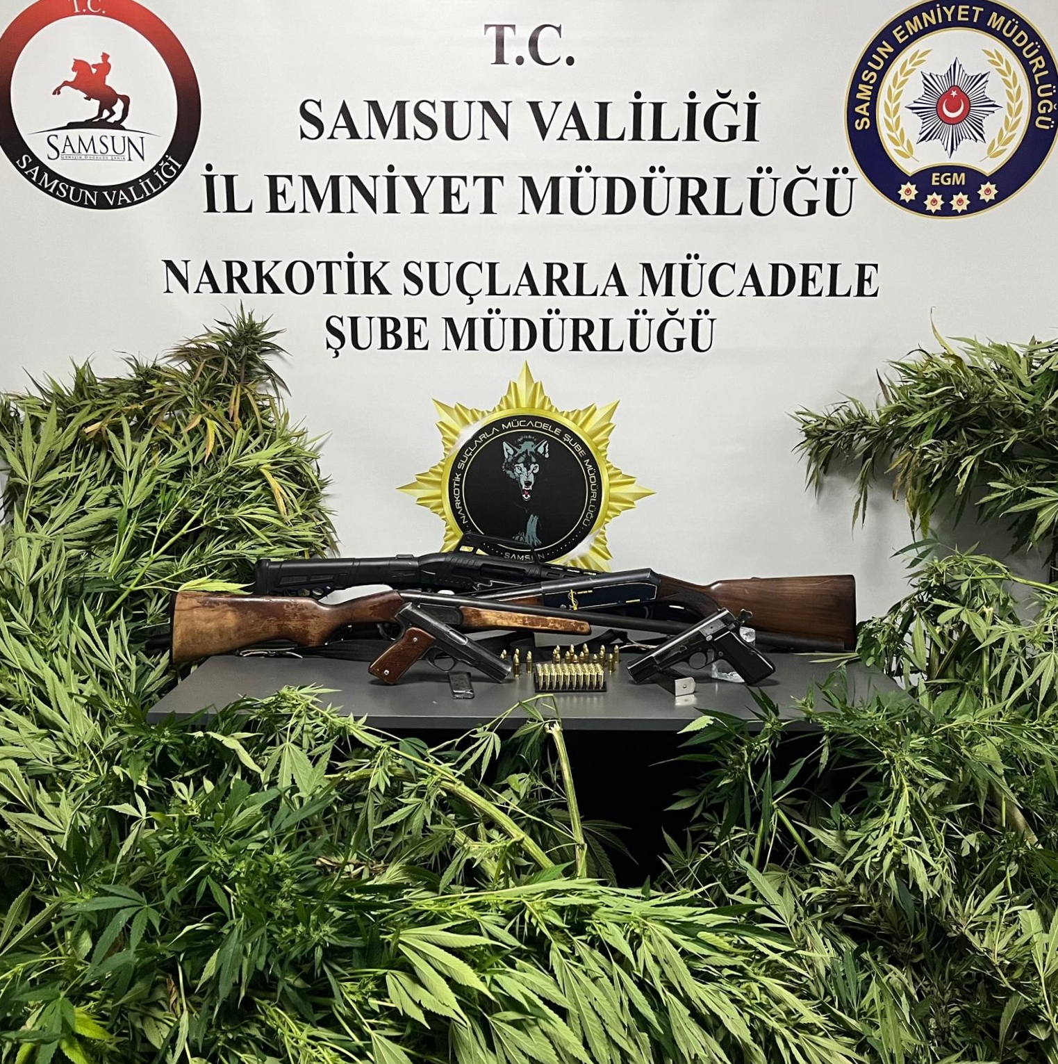 Samsun’da uyuşturucu operasyonlarında 7 zanlı yakalandı