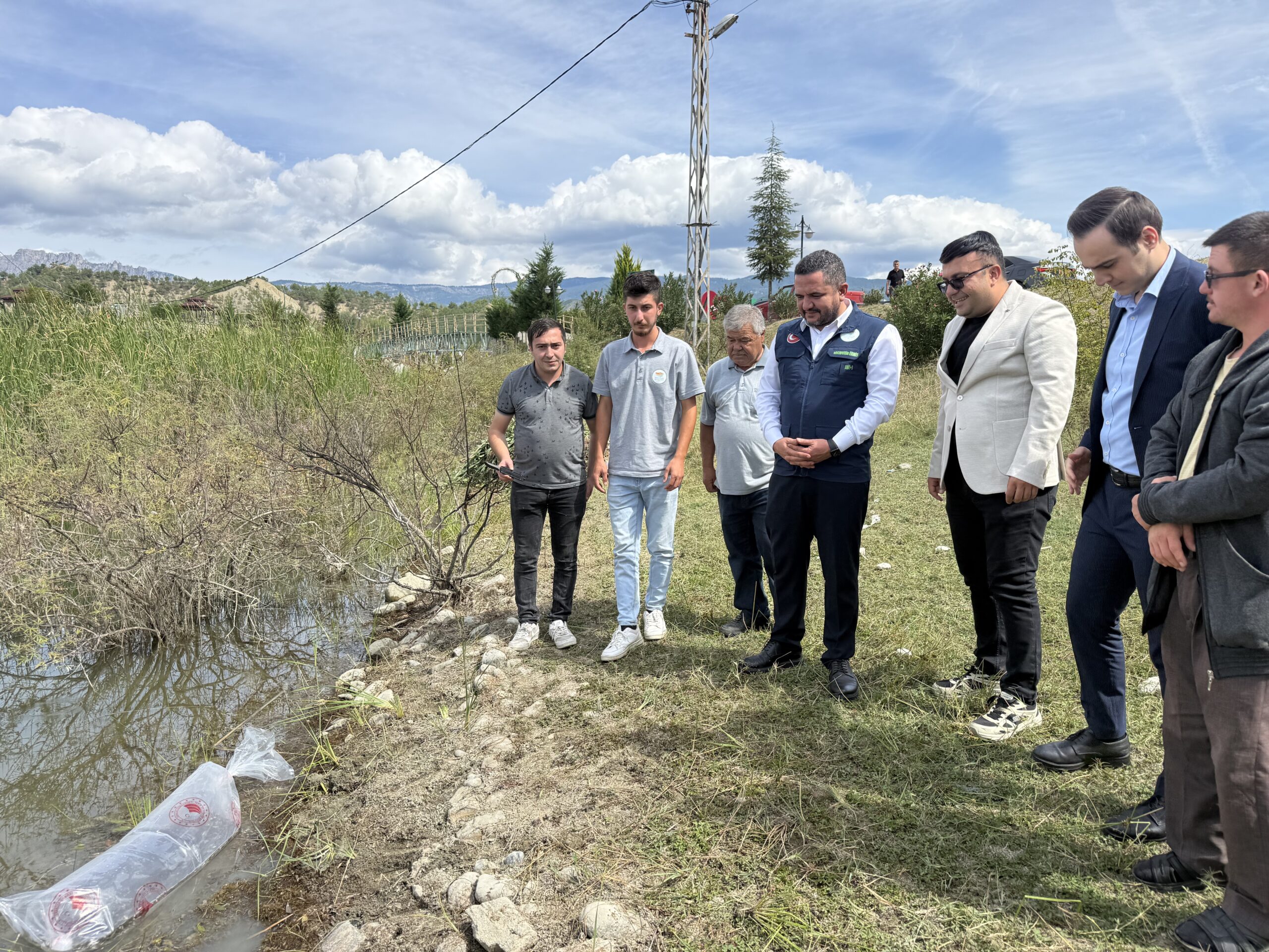 Sinop’ta göletlere 2 bin sazan yavrusu salındı